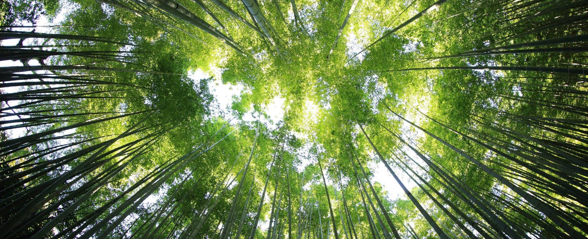 kazuend-19SC2oaVZW0-unsplash